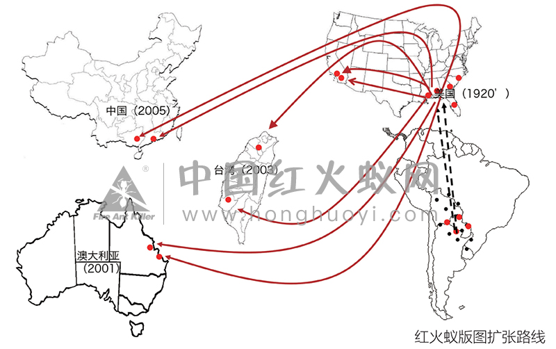 红火蚁的扩张版图