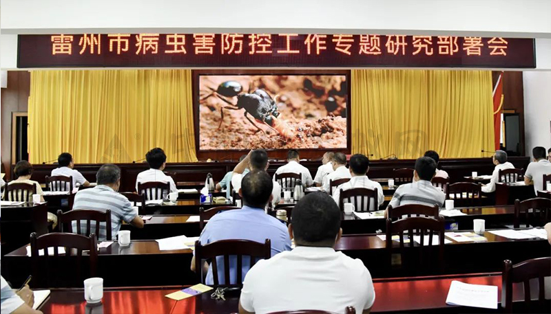 雷州研究部署病虫害防控工作