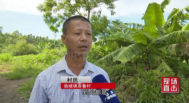 临高县:“狙击”红火蚁