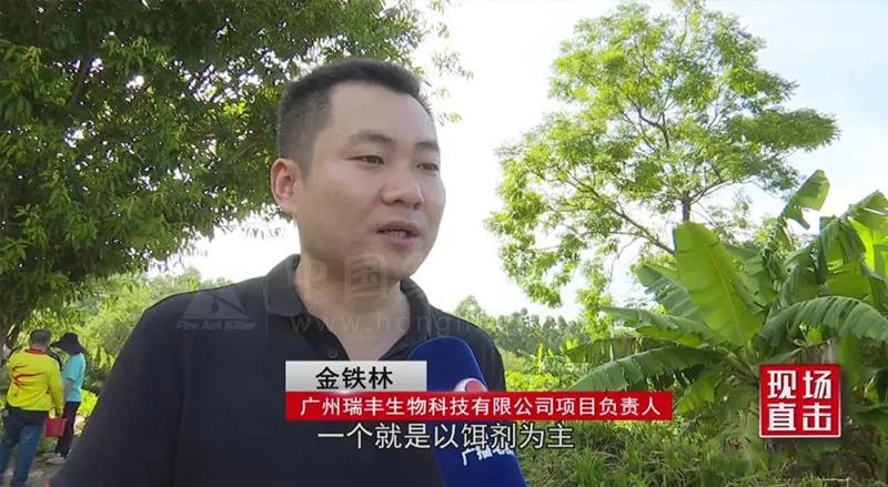 临高县:“狙击”红火蚁