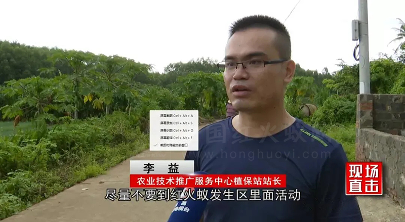 临高县:“狙击”红火蚁