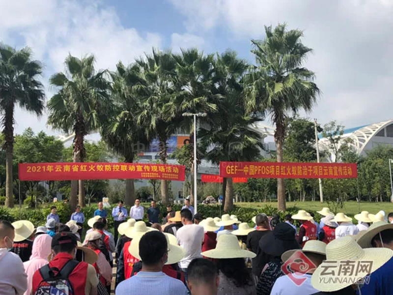 云南省:红火蚁从何而来?这场专业的联动宣传活动告诉你!
