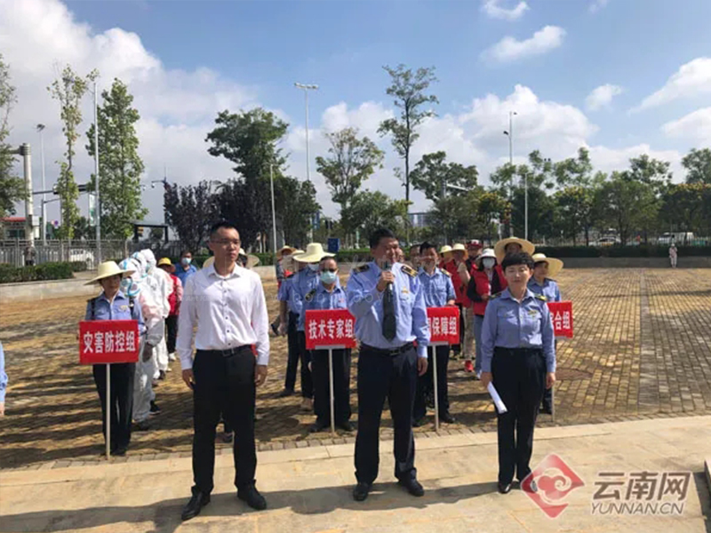 云南省:红火蚁从何而来?这场专业的联动宣传活动告诉你!