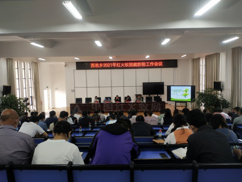 红火蚁出没,隆阳西邑迅速行动!