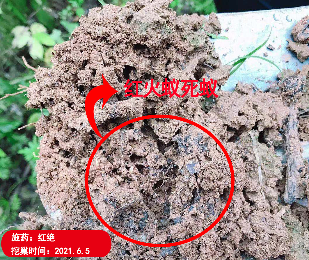 红绝红火蚁防控专用药剂