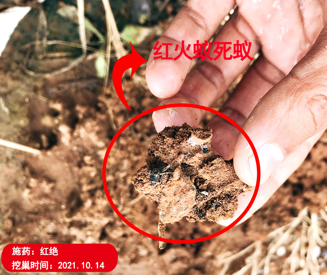 红绝红火蚁防控专用药剂