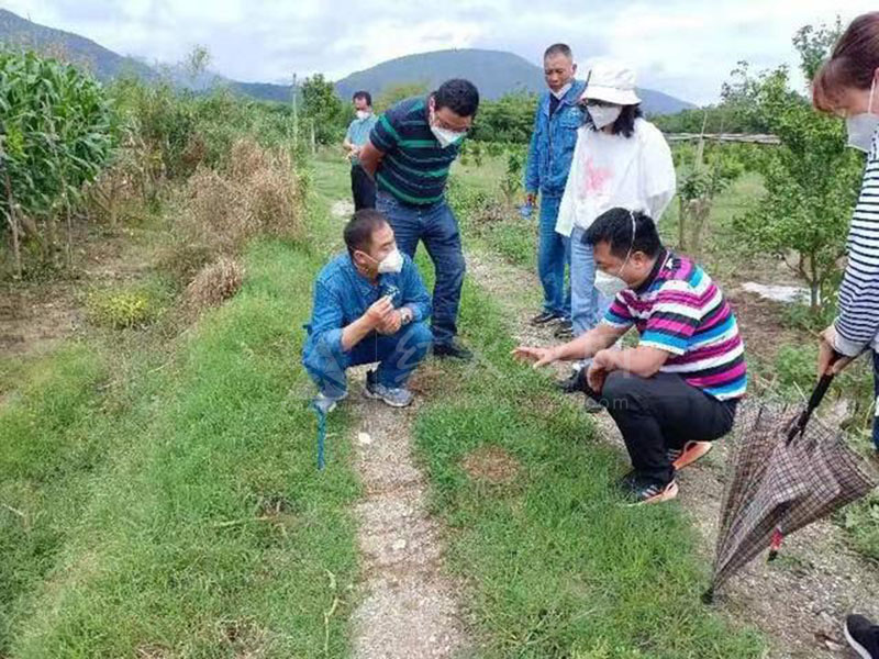 云南瑞丽举行红火蚁监测防控技术培训会