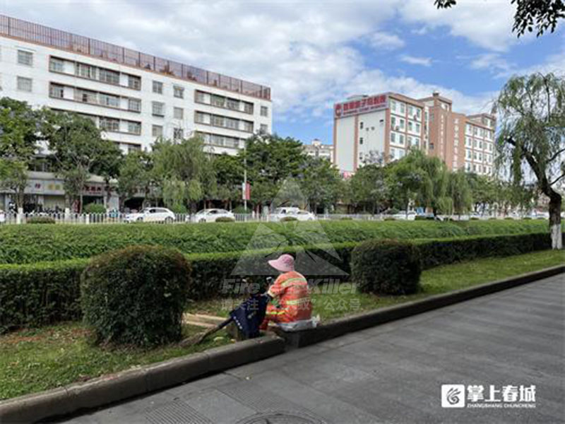 提醒!红火蚁“扎堆”官南大道绿化带户外活动谨防蛰伤