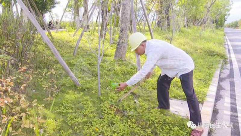 注意！揭阳市区这里发现红火蚁的巢穴，相关部门迅速消杀