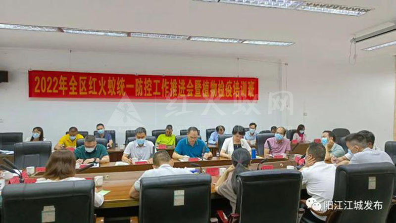 江城:强化外来物种管控,统一防控红火蚁