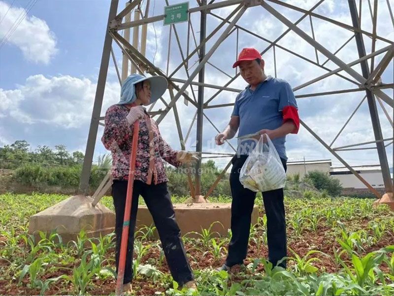 韩所社区积极开展红火蚁防控行动